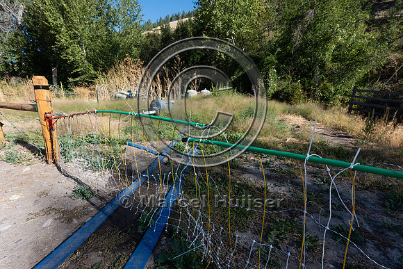 Installing electric fence and gates at a melon field to keep bla