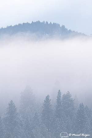 Winter fog in the mountains, Montana, USA