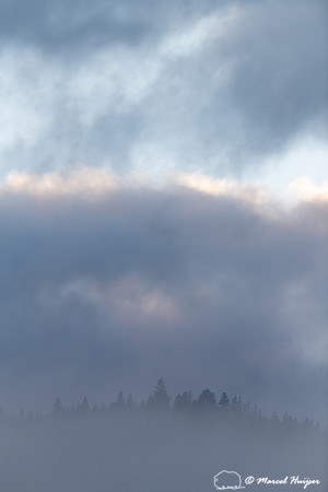Winter fog in the mountains, Montana, USA