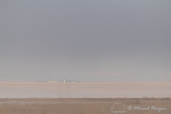 Grain silos, north of Great Falls, Montana, USA