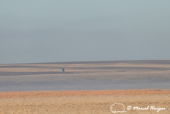 Grain silos, north of Great Falls, Montana, USA