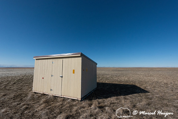 Blind for photographing sharp-tailed grouse (Tympanuchus phasian