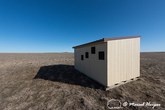 Blind for photographing sharp-tailed grouse (Tympanuchus phasian