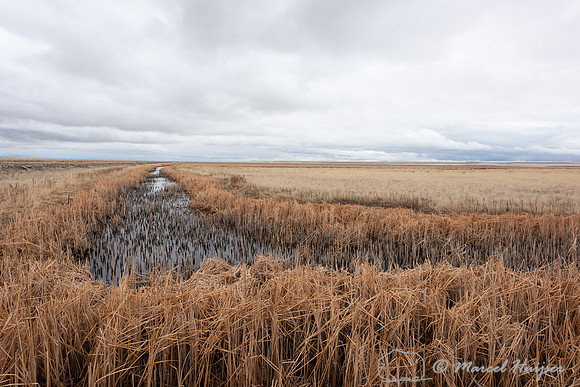 Ditch, Benton Lake National Wildlife Refuge, Montana, USA