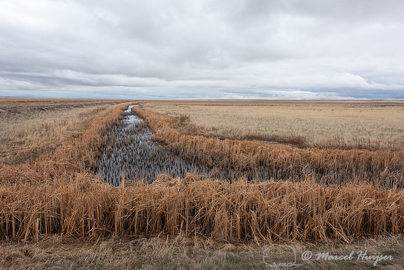 Ditch, Benton Lake National Wildlife Refuge, Montana, USA