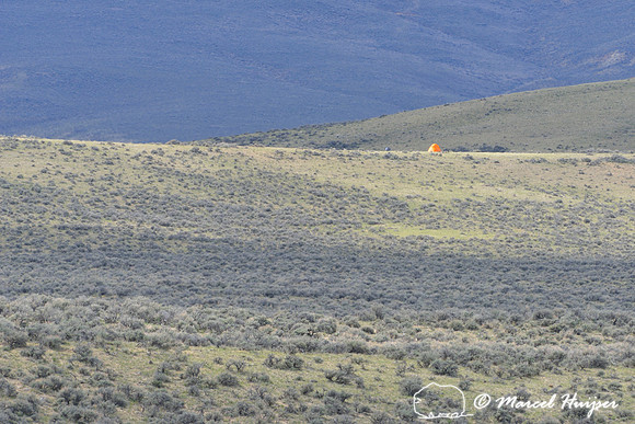 Camping out in the sagebrush sea, Montana, USA