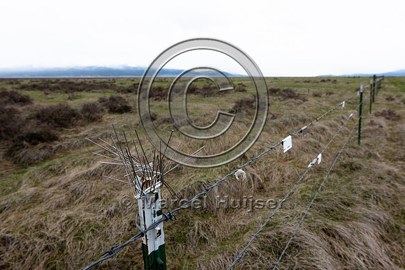 Fence markers and bird spikes for sage grouse in Centennial Vall