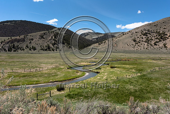 Fenced out riparian zone along Big Sheep Creek, Montana, USA