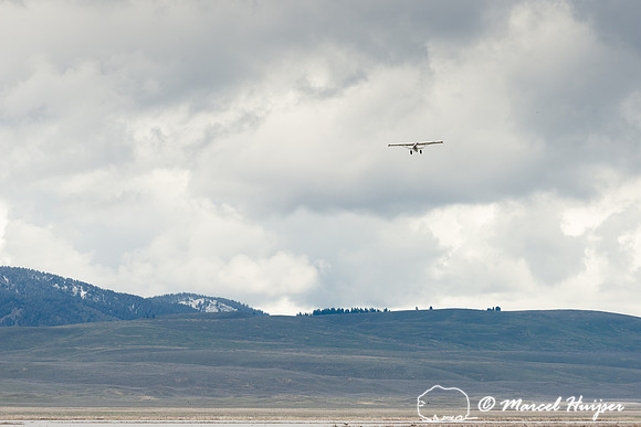 Aerial bird survey, Red Rock Lakes,  Centennial Valley, Montana,