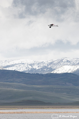 Aerial bird survey, Red Rock Lakes,  Centennial Valley, Montana,