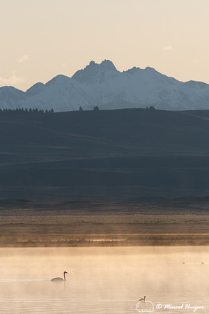 Sunrise in Centennial Valley, Montana, USA