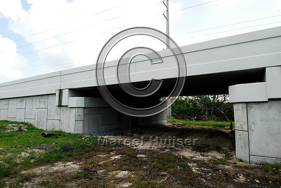 Wildlife underpass, Hwy 1, Key Largo, Florida