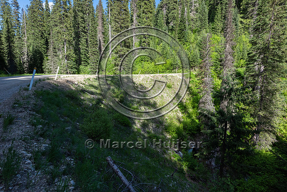 Fill with culvert for creek crossing, Idaho, USA