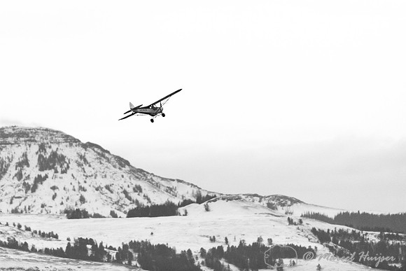 Air plane tracking wolves in Yellowstone