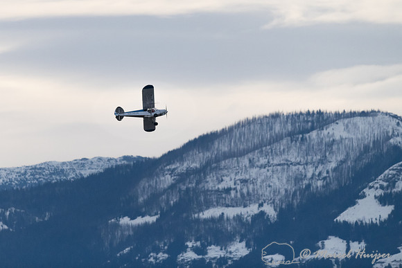 Air plane tracking wolves in Yellowstone