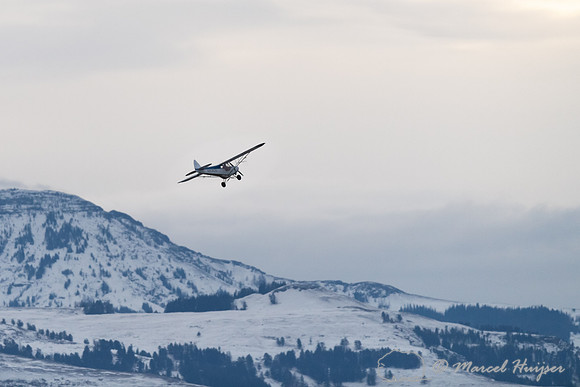 Air plane tracking wolves in Yellowstone