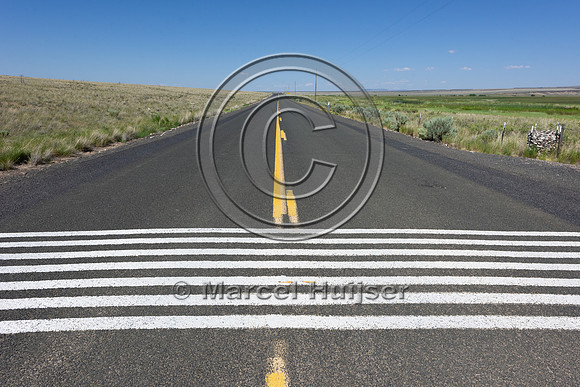 White stripes painted on the road surface meant to imitate a cat