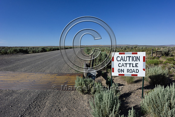 Sign, Caution, Cattle on road, and cattle guard, Oregon
