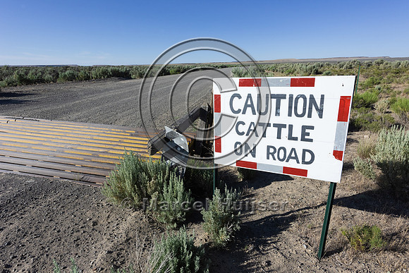 Sign, Caution, Cattle on road, and cattle guard, Oregon