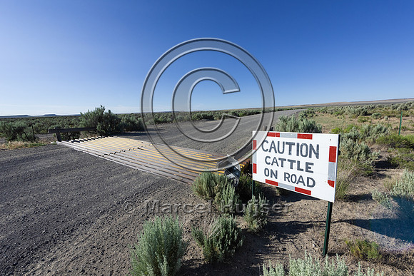 Sign, Caution, Cattle on road, and cattle guard, Oregon