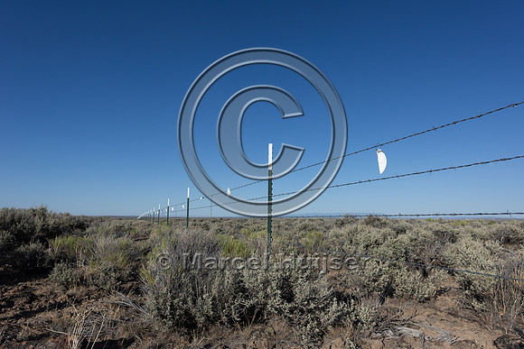Markers on fence for sage grouse, Hart Mountain National Antelop