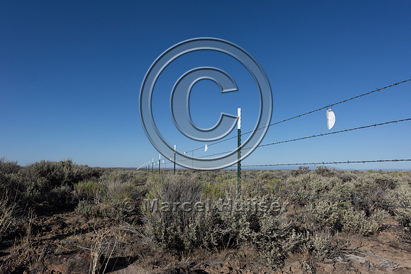 Markers on fence for sage grouse, Hart Mountain National Antelop