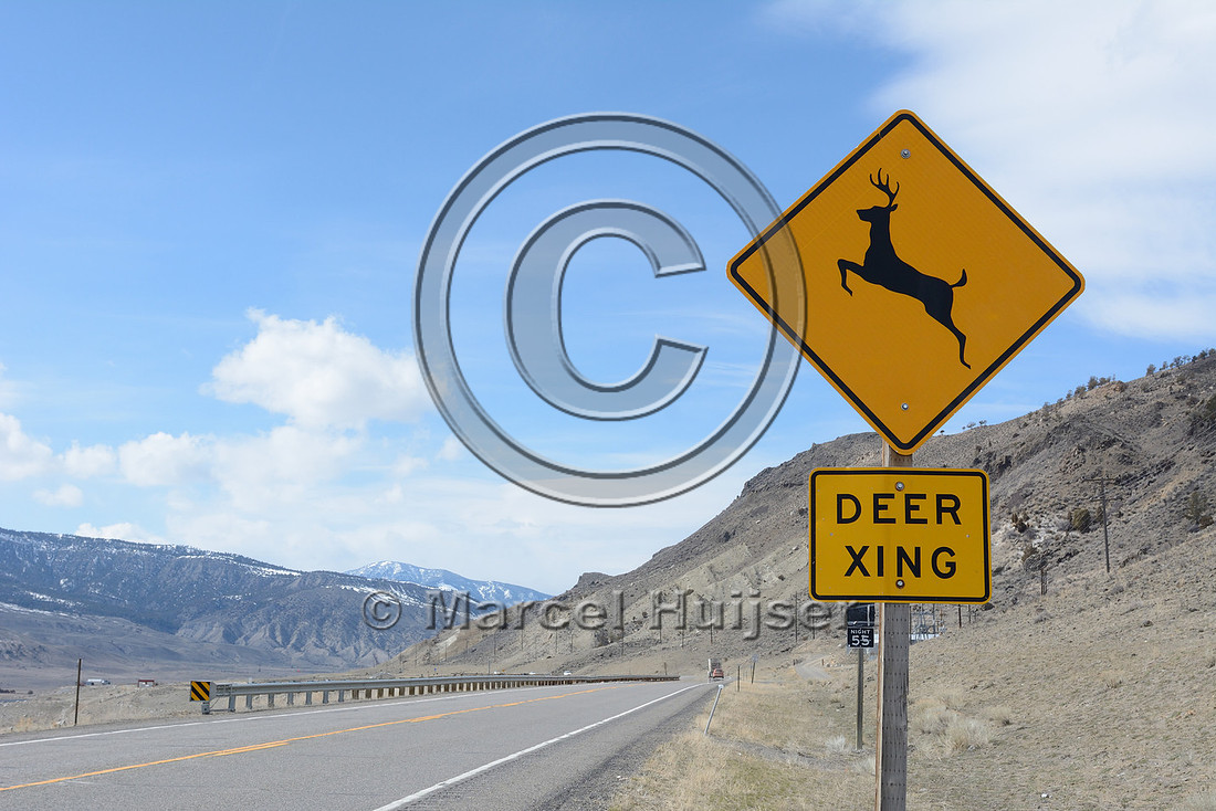 Deer crossing warning sign, xing, US Hwy 89, near Gardiner, Montana, USA