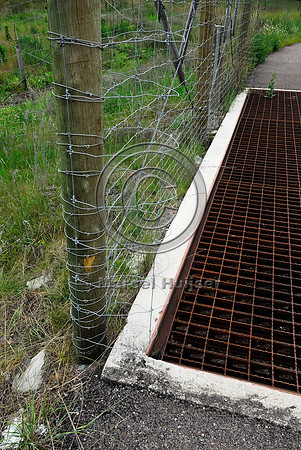 Fence bulbouts  at a wildlife guard installed to make it more difficult for deer (Odocoileus spp.) to walk across the concrete ledge and access the highway, near Ravalli, Montana, USA