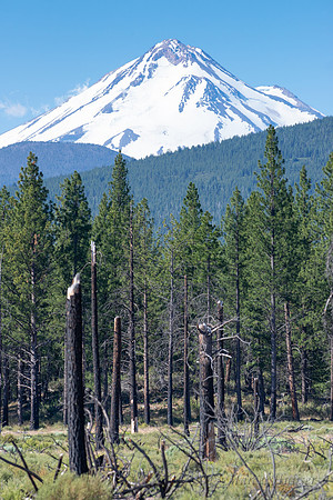 Mount Shasta, California