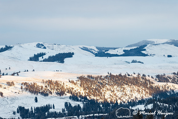 Evening sun on snow covered hill, Wyoming