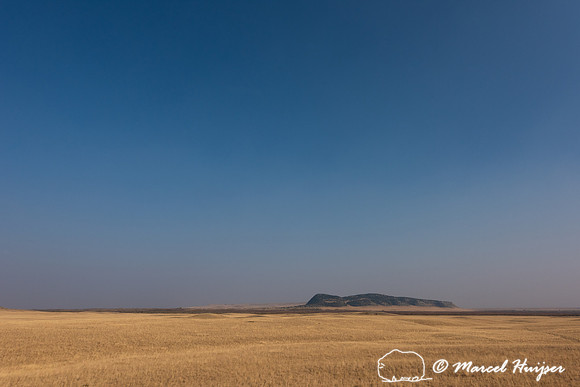 Pine Butte Swamp, Montana