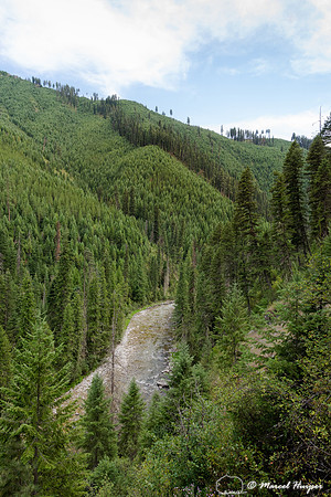 Stream in Selway–Bitterroot wilderness, Idaho