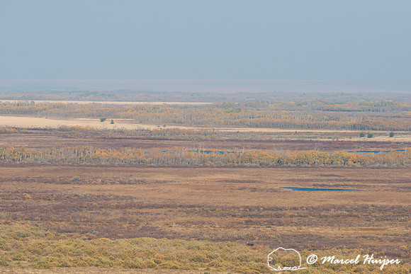 Overlooking Pine Butte Swamp, Montana
