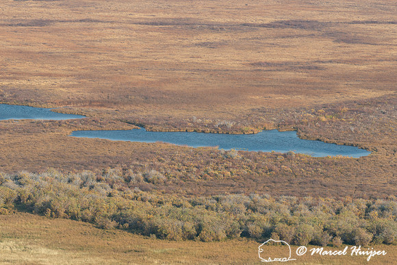 Overlooking Pine Butte Swamp, Montana