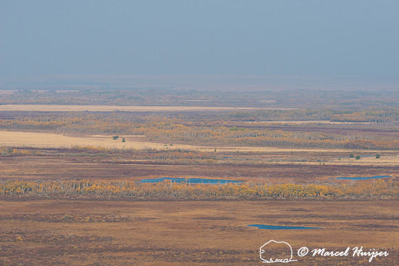 Overlooking Pine Butte Swamp, Montana