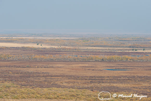 Overlooking Pine Butte Swamp, Montana