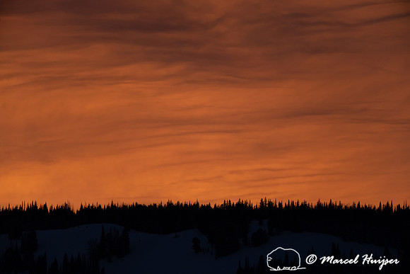 Sunset, Lamar Valley, Yellowstone National Park, USA