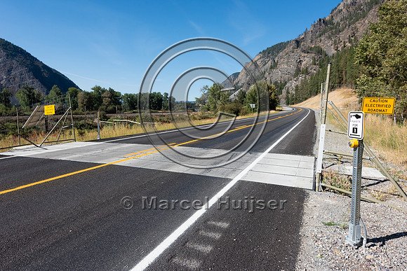 Electified barrier for large mammals embedded in the travel lane