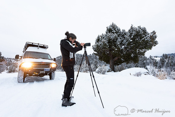 Bethanie Walder spots wildlife, Wyoming