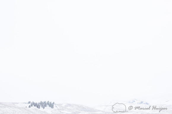 Snowy landscape, Wyoming, USA
