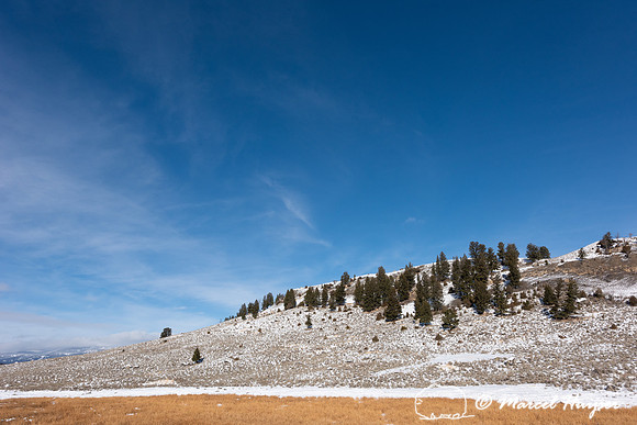 Snowy landscape with lake, Wyoming, USA
