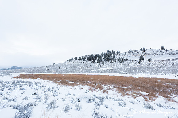 Snowy landscape with lake, Wyoming, USA
