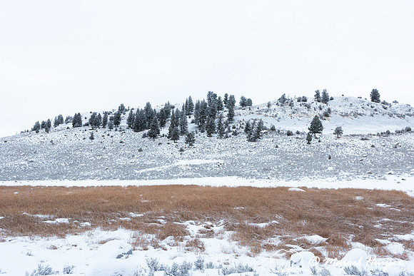 Snowy landscape with lake, Wyoming, USA