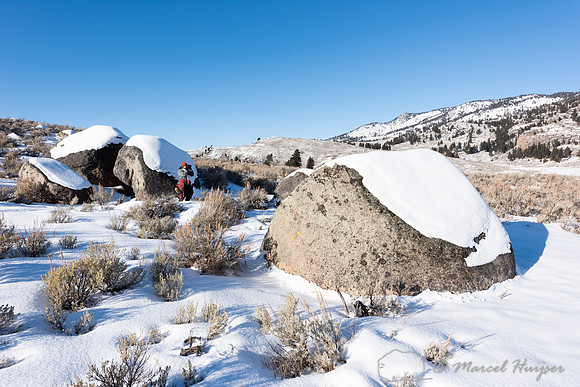 Bethanie Walder looking for wildlife, Wyoming, USA