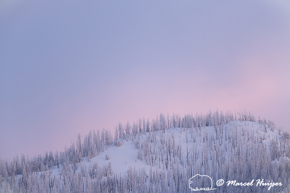 Snow covered mountain and pink sky, Wyoming, USA