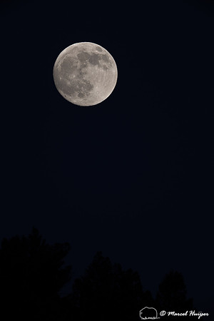 Near full moon, Wyoming