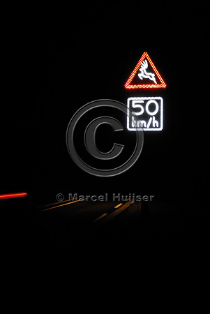 Animal detection system at night, Harderwijk, The Netherlands