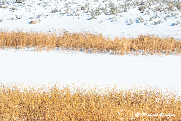 Frozen lake, Wyoming