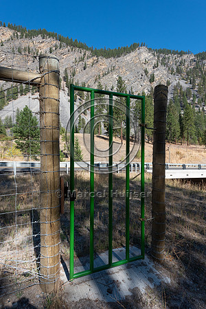 Gate through fence to provide access to wildlife underpass for m