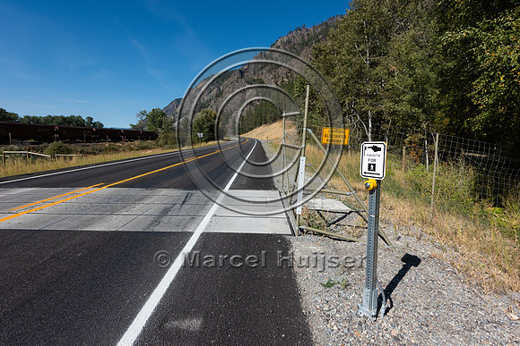 Electrified barrier embedded in travel lanes to keep large mamma